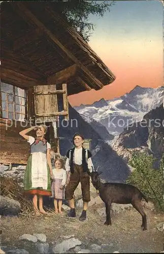 Ziege Kinder Alm Berge  Kat. Tiere