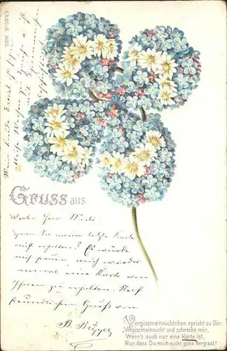 Kleeblatt Vergissmeinnicht Margeriten Litho Kat. Greetings