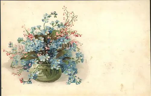 Blumen Vergissmeinnicht Vase Litho Kat. Pflanzen
