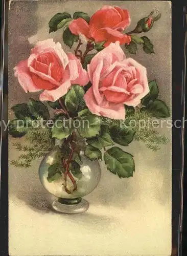 Rosen Vase  Kat. Pflanzen