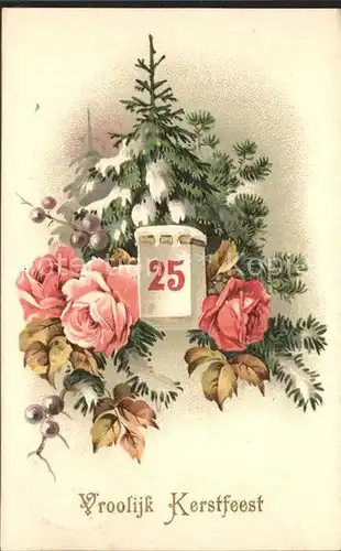 Weihnachten Rosen Tannenbaum 25. Dezember Litho Kat. Greetings
