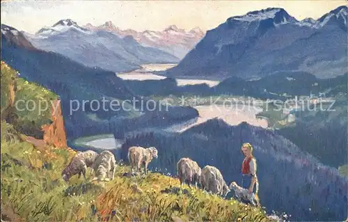 Kutscha Paolo Die Schweiz Oberengadiner Seen Nr. 162 Schafe  Kat. Kuenstlerkarte