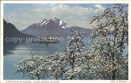 Foto Gaberell J. Nr. 5480 Vierwaldstaettersee Pilatus Dampfer  Kat. Fotografie