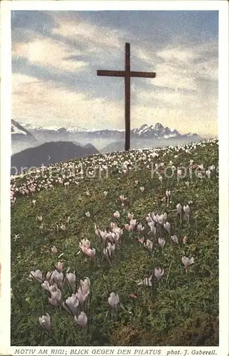 Foto Gaberell J. Nr. 12419 Rigi Pilatus Krokusse  Kat. Fotografie