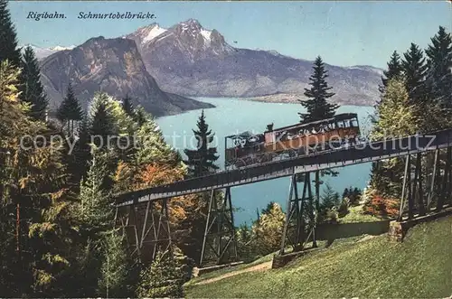 Zahnradbahn Rigibahn Schnurtobelbruecke Kat. Bergbahn