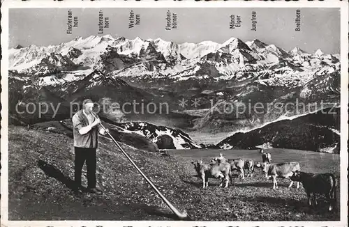 Alphorn Preialphornblaeser Josef Kuster Kuehe Pilatus Kulm Berneralpen Kat. Musik