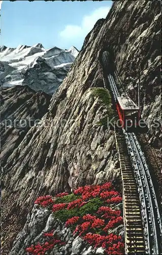 Zahnradbahn Pilatusbahn Eselwand Berneralpen Kat. Bergbahn