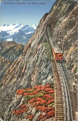 Zahnradbahn Pilatusbahn Eselwand Berner Alpen Kat. Bergbahn
