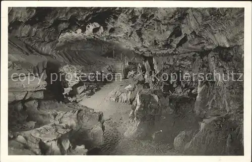 Hoehlen Caves Grottes Beatushoehlen Walhalla Grotte Kat. Berge