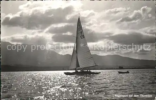 Segelboote Segelsport Thunersee  Kat. Schiffe