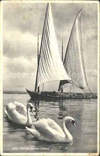 Segelboote Schwaene Barque Lac Leman  Kat. Schiffe
