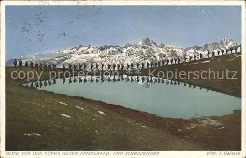 Foto Gaberell J. Nr. 716 Finsteraar  und Schreckhorn Kat. Fotografie