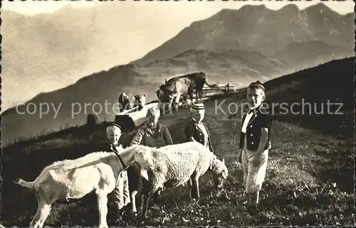 Ziege Schaf Kinder Trachten Alm  Kat. Tiere