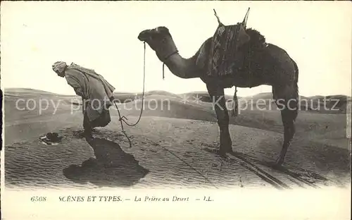 Kamele Priere au Desert Scenes et Types Kat. Tiere
