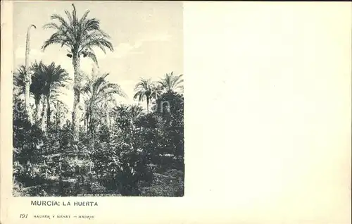 Verlag Hauser Y Menet Nr. 191 Murcia La Huerta  Kat. Verlage