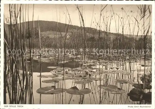 Foto Rechsteiner Emil Der stille Teich Serie 10 Nr. 235 Kat. Fotografie