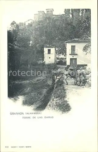 Verlag Hauser Y Menet Nr. 672 Granada Alhambra Torre de Las Damas Kat. Verlage