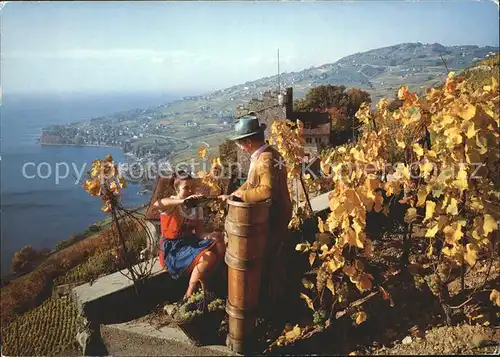 Wein Vin de Lavaux Weinreben  Kat. Lebensmittel