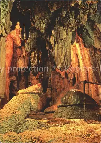 Hoehlen Caves Grottes Hoellgrotten Baar Dom mit Krokodil  Kat. Berge