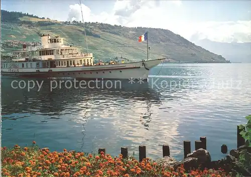 Dampfer Seitenrad Italie Lac Leman Genfersee  Kat. Schiffe