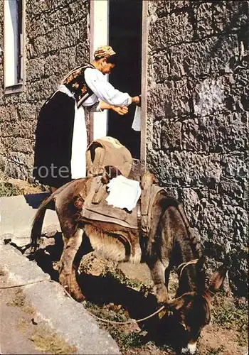 Esel Tiere Tracht Tessin Tessiner Gasse Vicolo caratteristico ticinese Kat. Tiere