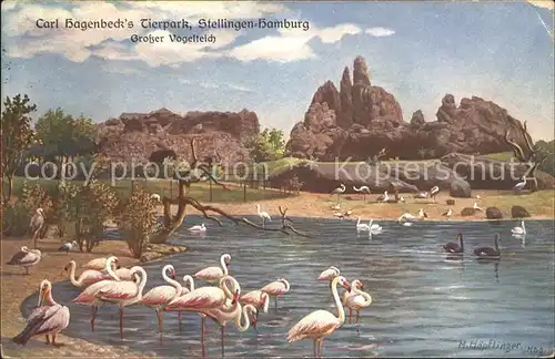 Hagenbeck Vogelteich Flamingos Kuenstlerkarte M. Hoepflinger  Kat. Tiere