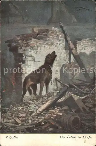 Hunde Ruinen Kuenstlerkarte Halke Der letzte im Dorf Spendenkarte Kat. Tiere