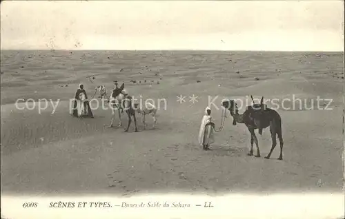 Scenes et Types Nr. 6008 Dunes de Sable du Sahara Kamele Kat. Typen
