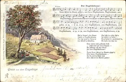 Liederkarte Dar Vuglbaerbaam Erzgebirge Kat. Musik