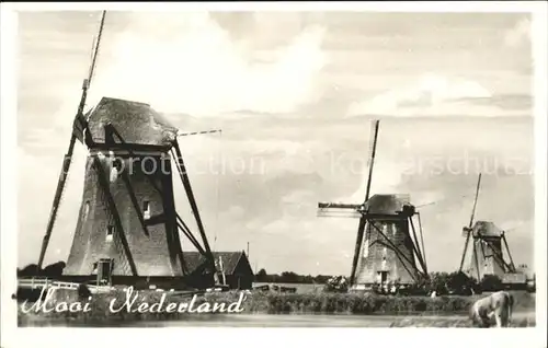 Windmuehle Niederlande  Kat. Gebaeude und Architektur
