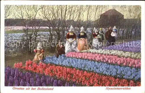 Blumen Hyacintenvelden Holland Trachten  Kat. Pflanzen