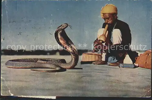 Schlangen Tiere Schlangenbeschwoerer Indien  Kat. Tiere