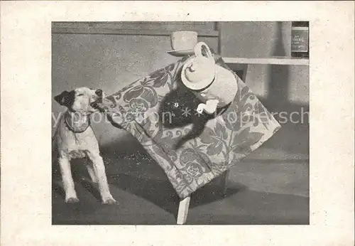 Hunde Teekanne Tasse  Kat. Tiere