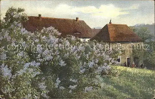 Verlag Photochromie Nr. 1583 Haus Neuchatel Blumen Natur Kat. Verlage