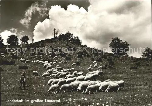 Schafe Hirte Lautertal Landschaft Kat. Tiere