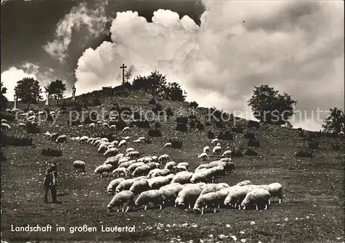 Schafe Schafherde Hirte Landschaft Lautertal  Kat. Tiere