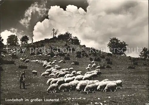 Schafe Schafherde Hirte Lautertal Landschaft Kat. Tiere