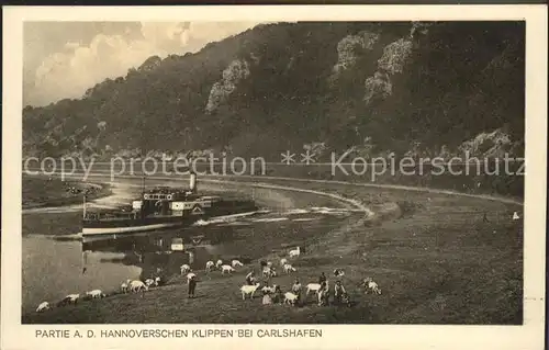 Dampfer Seitenrad Hannoversche Klippen Bad Karlshafen Ziegen  Kat. Schiffe