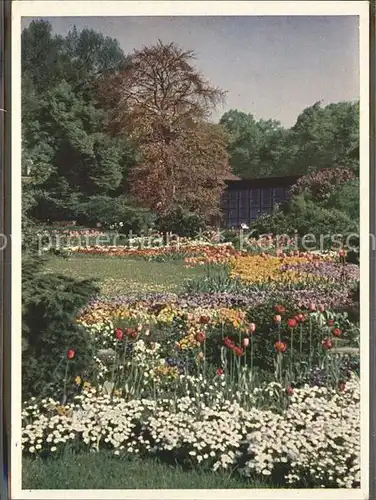 Ausstellung Planten un Bloemen Hamburg Tulpenbluete  Kat. Expositions