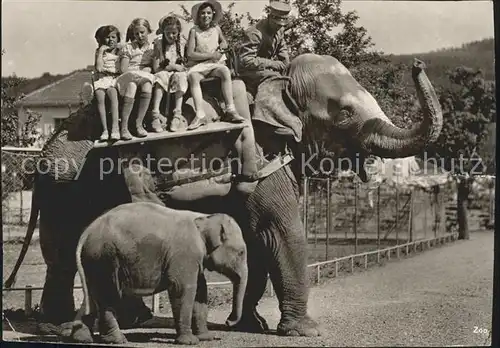Elefant Elefantenreiten Zoo Zuerich Kinder  Kat. Tiere
