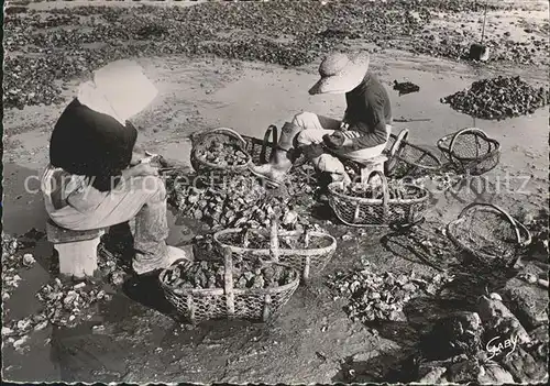 Meerestiere Austern Triage des huitres  Kat. Tiere