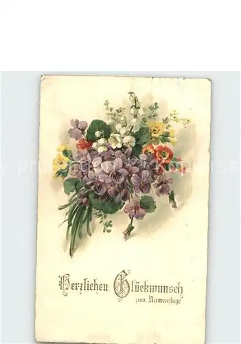 Namenstag Namenskarte Veilchen Maigloeckchen Schluesselblumen Litho /  /