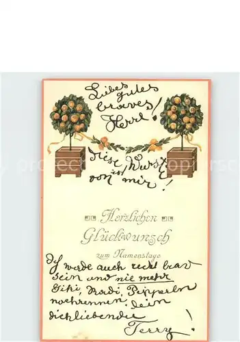 Namenstag Namenskarte Glueckwunsch Zitronenbaeume Litho /  /