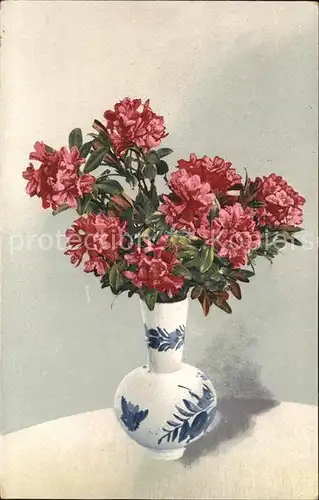 Blumen Alpenrosen Vase  Kat. Pflanzen