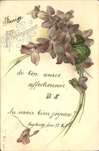 Blumen Fruehlingsgruesse Veilchen Litho Kat. Pflanzen