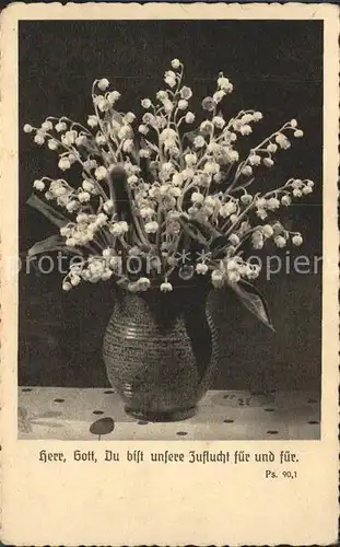 Maigloeckchen Vase  Kat. Pflanzen