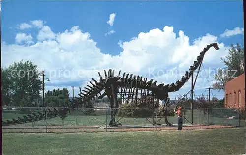 Dinosaurier Cement replica Diplodocus Utah Field House  Kat. Tiere