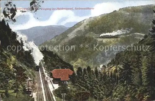 Eisenbahn Schwarzwaldbahn Haldentunnel Seelenwaldkurve  / Eisenbahn /
