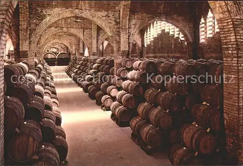 Wein Weinkeller Cavas Codorniu Bodega Monumento Nacional  Kat. Lebensmittel