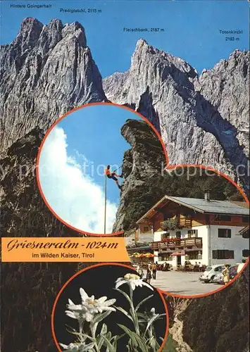 Bergsteigen Klettern Griesneralm Wilder Kaiser Tirol Edelweiss  / Sport /